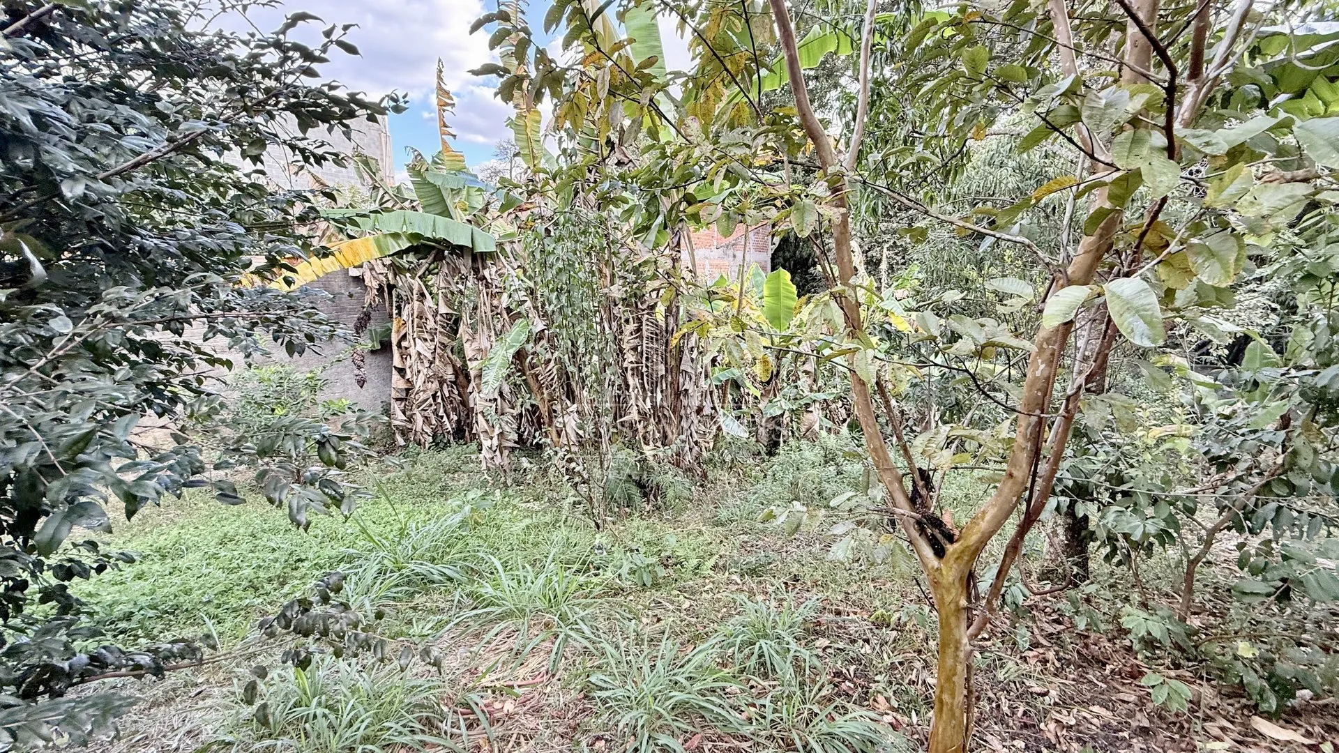Imagem Chácara de 1 quarto, 137m² no bairro Jardim Celina, em Limeira