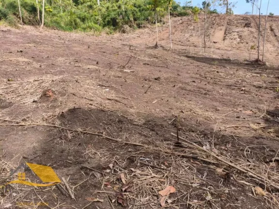 Imagem Vendo Àrea Rural a partir de 10 mil mts², Boa Topografia, Com RGI