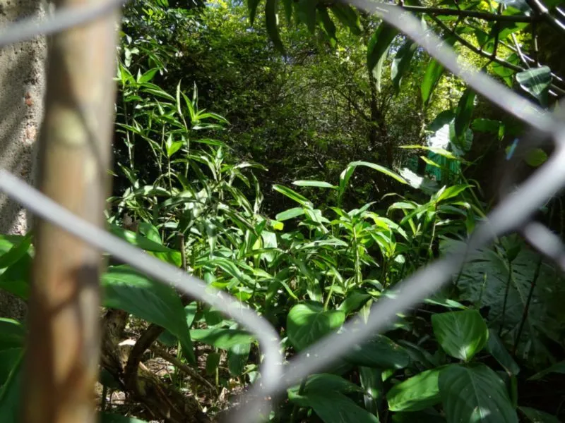 Imagem Terreno para Venda - 0m², 0 dormitórios, Espirito Santo