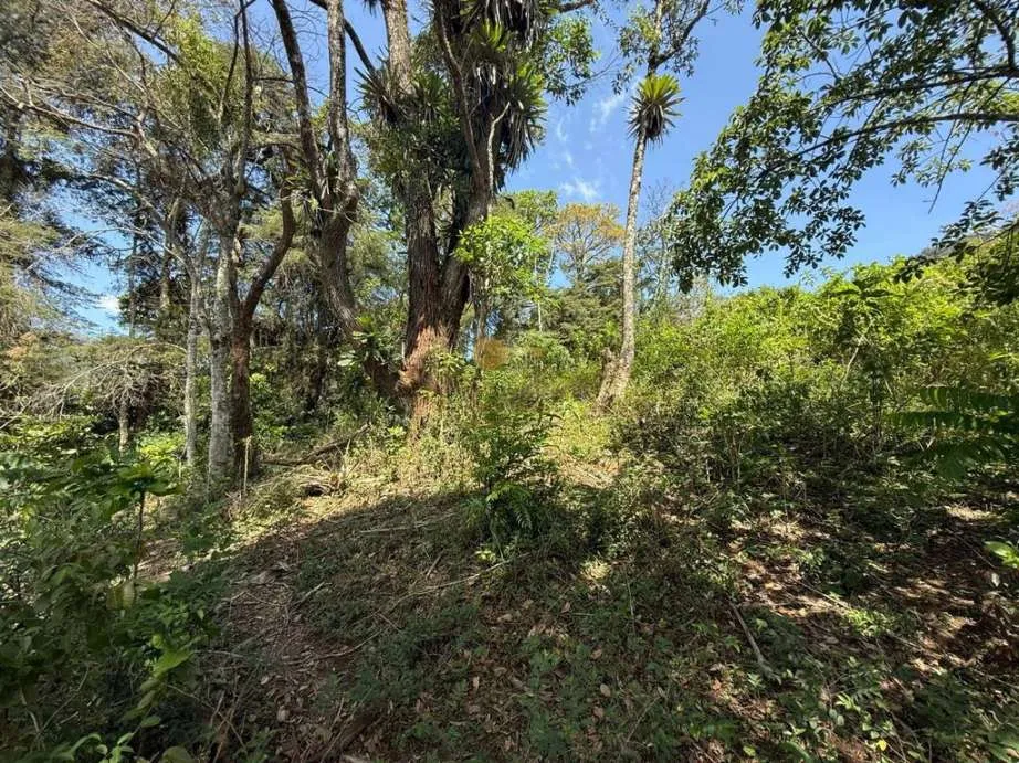Imagem Terreno para Venda em Teresópolis / RJ no bairro Granja Guarani