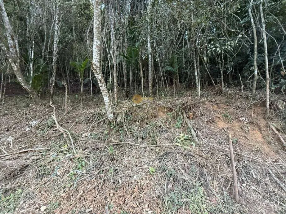 Foto do imóvel Terreno para Venda em Teresópolis / RJ em Rua Jardim Suspiro