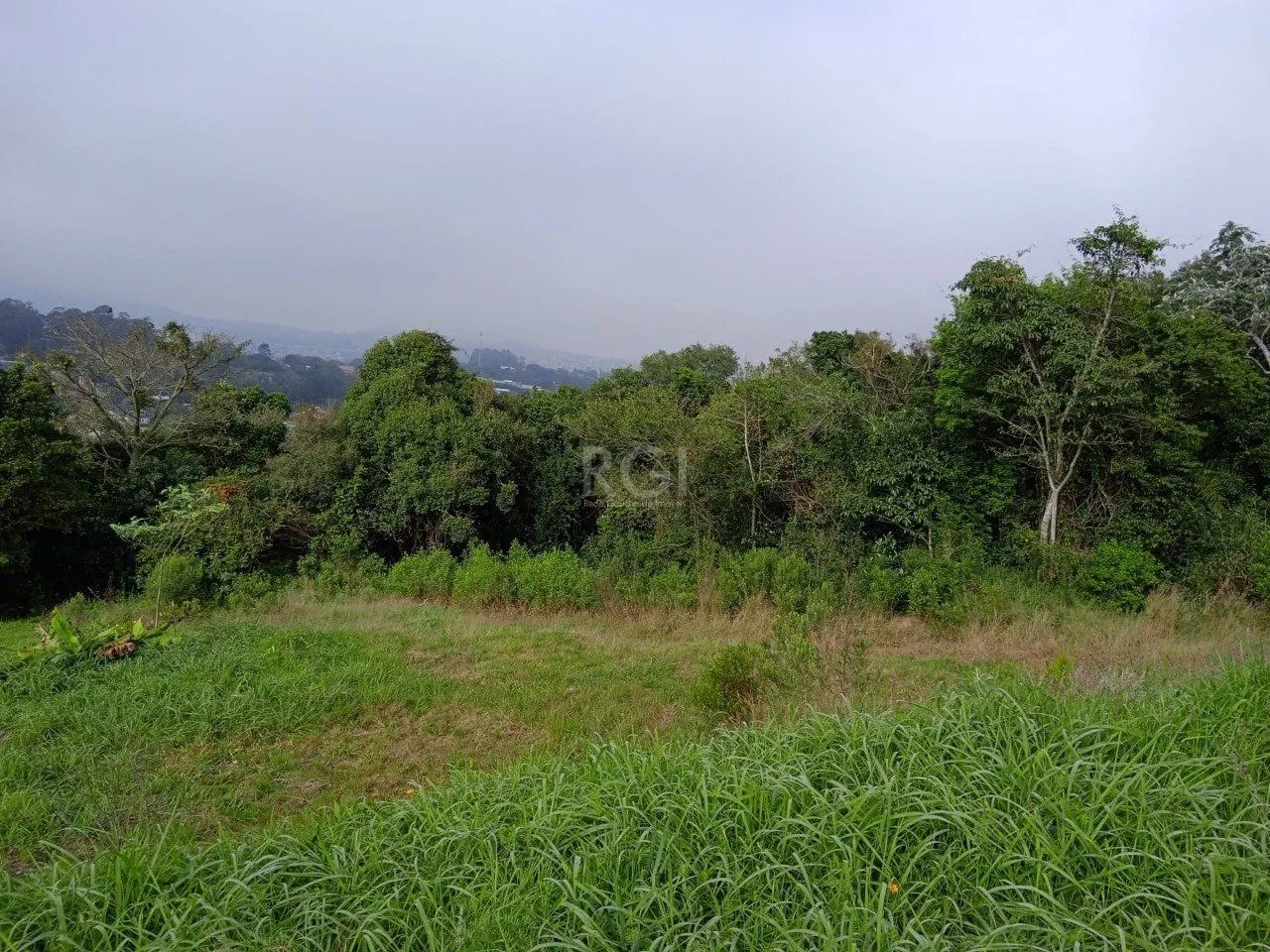 Imagem Terreno para Venda - 4950m², 0 dormitórios, Vila Nova, Porto Alegre