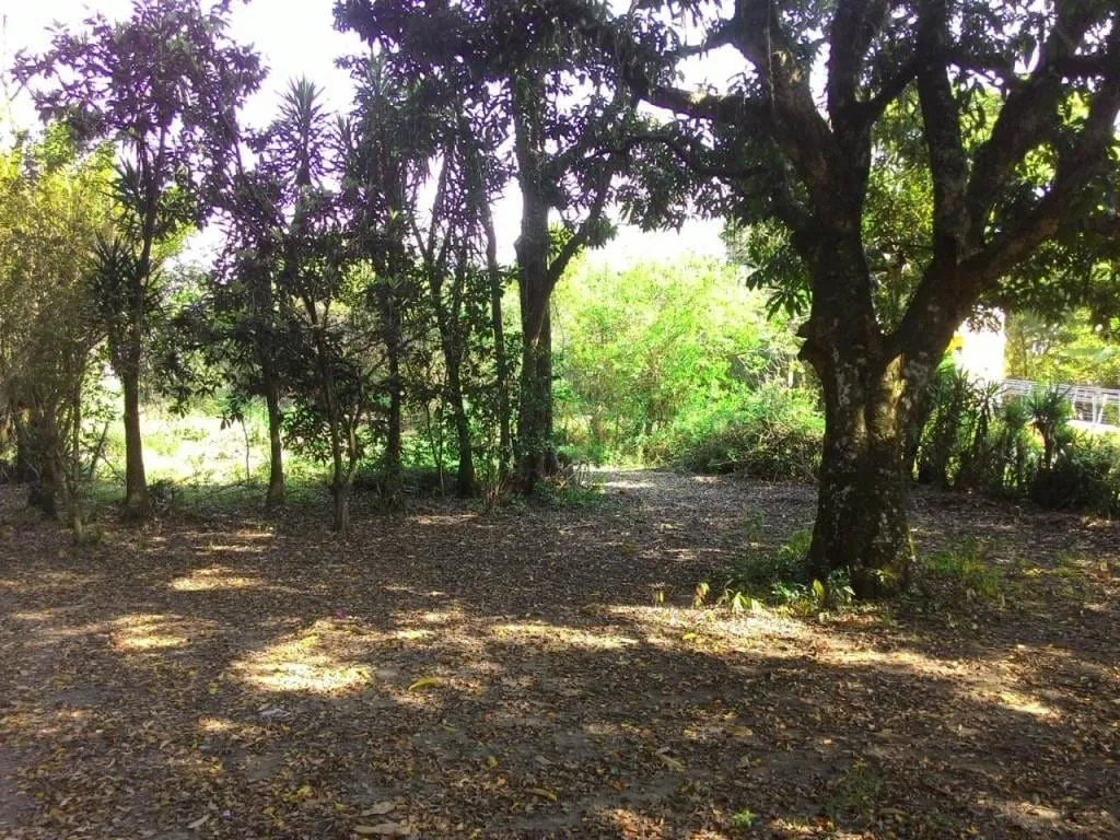 Imagem Chácara à venda 20500M², Bonsucesso, Pindamonhangaba - SP