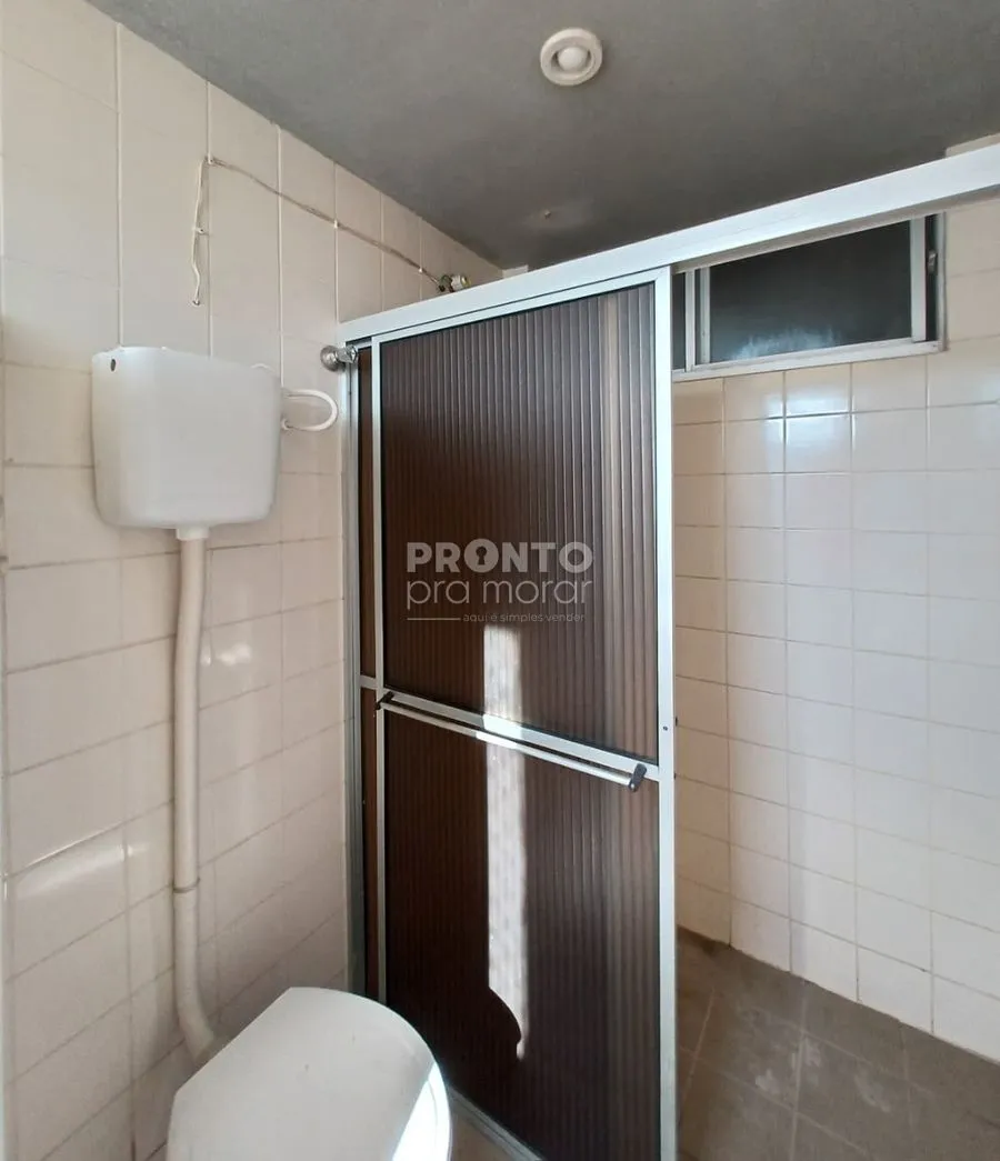 Imagem Pinhal