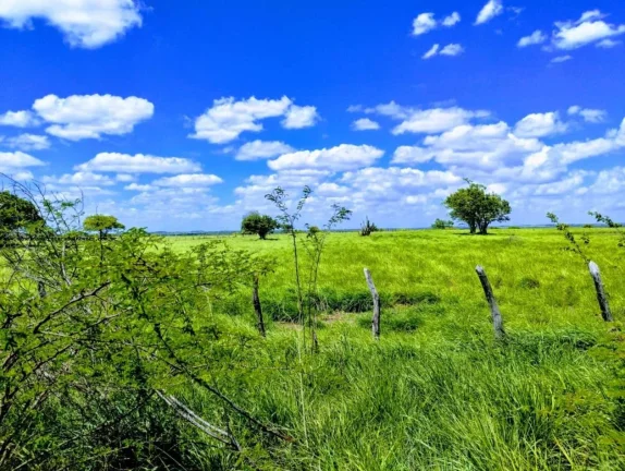 Imagem Fazenda para Venda em Santa Maria, SANTA MARIA