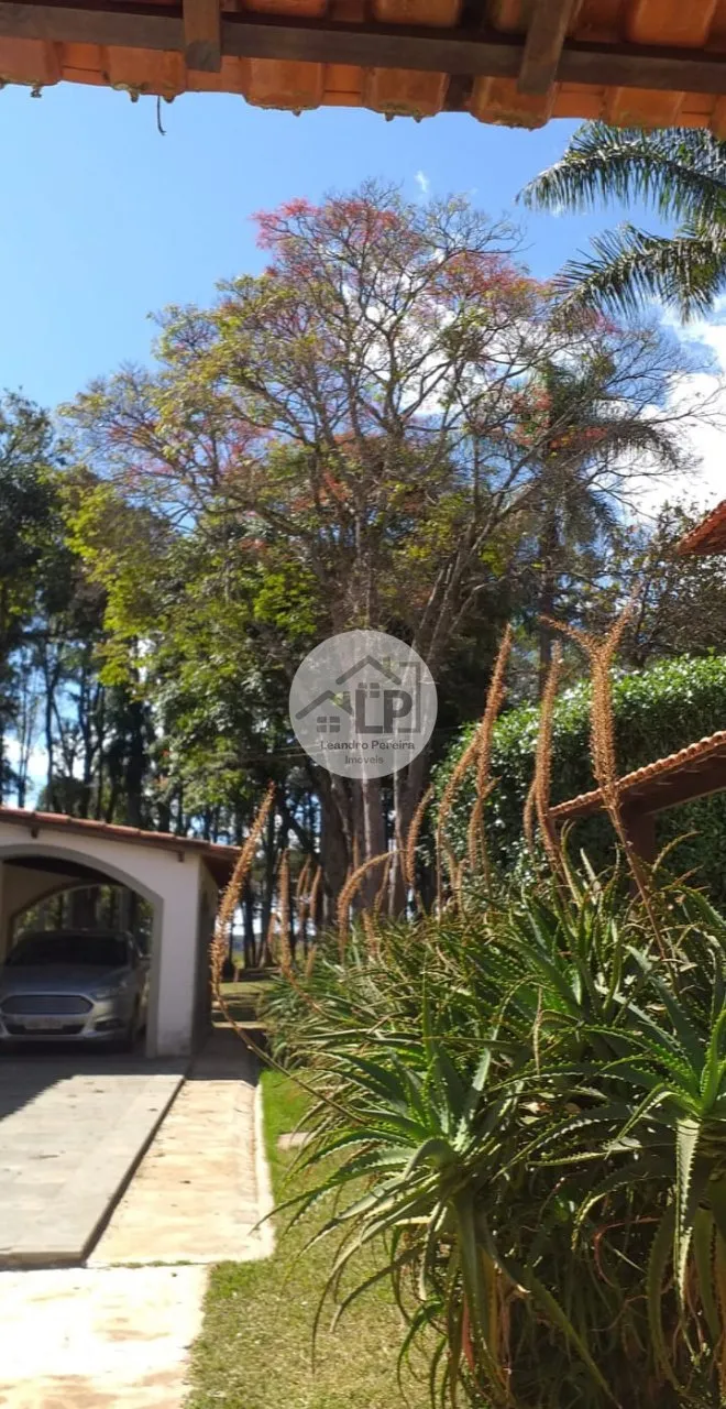 Imagem Fazenda de Café à Venda na Região do Alto Paranaíba - Minas Gerais