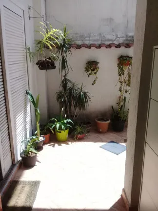 Imagem Casa com 4 Quartos à Venda, 260 m² em Santa Teresinha - São Paulo