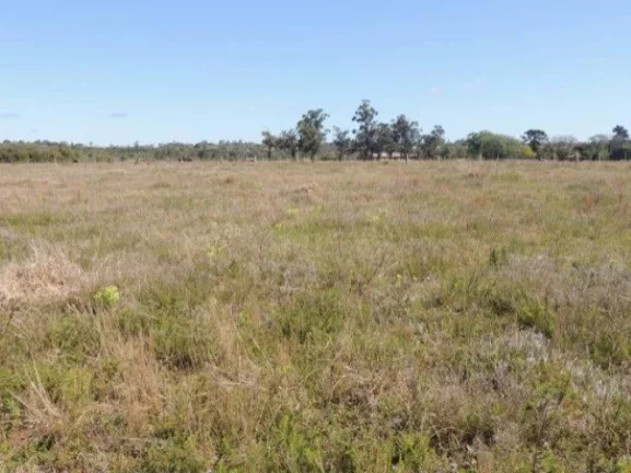Imagem Terreno residencial fora de condomínio, Morro Grande / Viamão