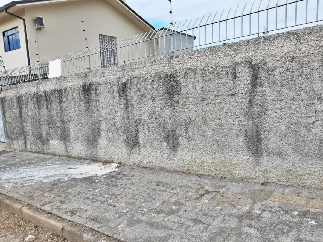 Imagem Terreno Urbano com Viabilidade para Condomínio Residencial - Capoeiras, Florianópolis