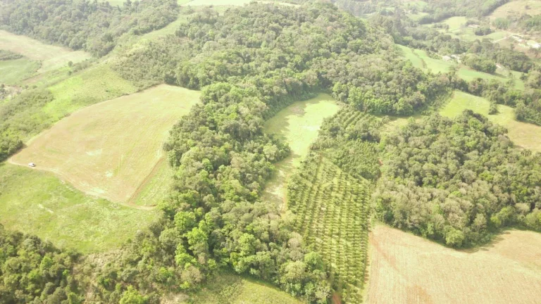 Imagem Área Agrícola para Venda em Concórdia, Rural