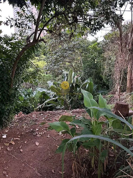 Imagem Terreno - Venda na Colina B1 Patamares Salvador-Ba