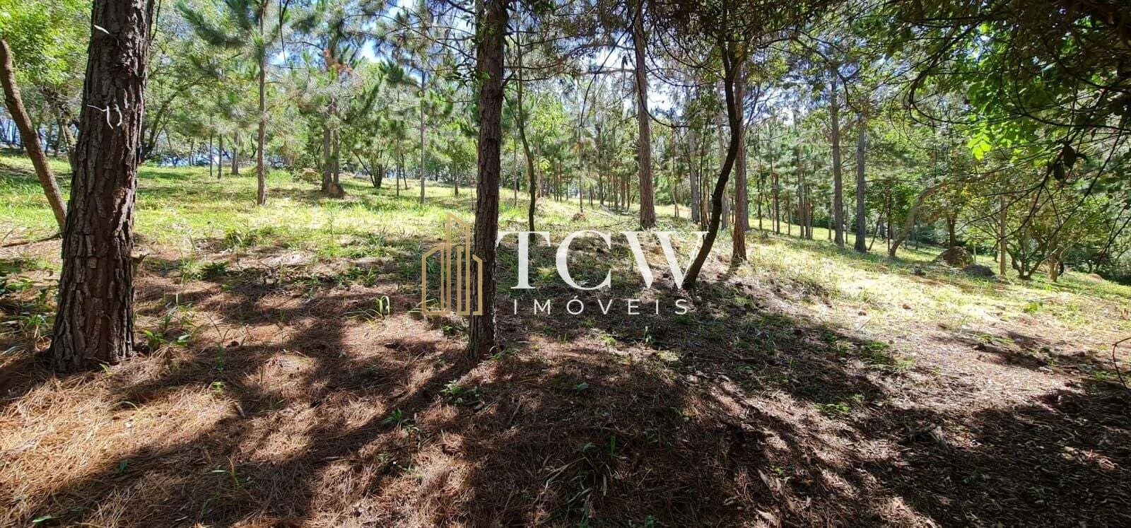 Imagem Terreno em Loteamento | 20.000m2 | ATIBAIA/SP