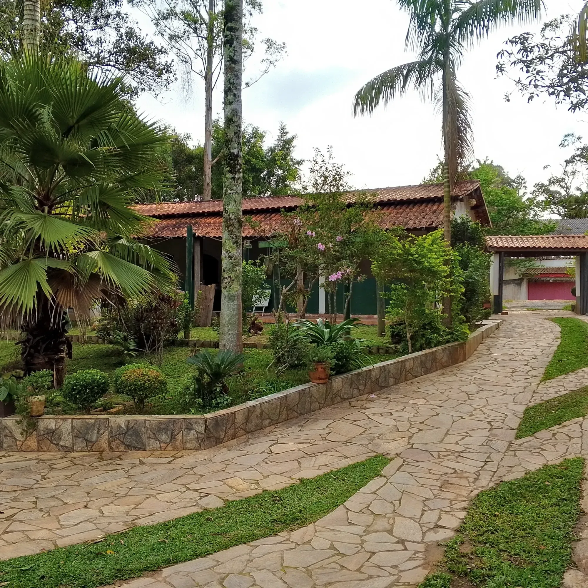 Imagem Chácara com 3 Quartos à Venda, 12.000 m² em Jardim das Cerejeiras - Cotia
