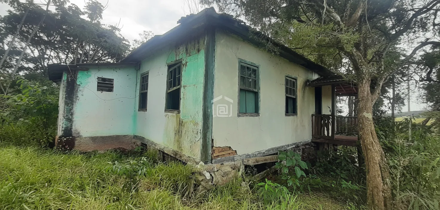 Imagem Fazenda 338,8 ha à venda em Itacolomi, Ipuiúna