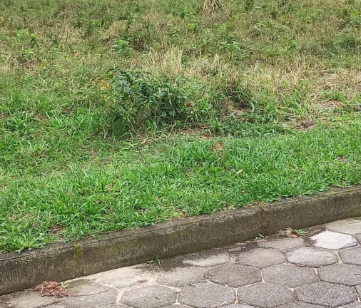 Imagem Terreno em Ambrósio, Garopaba-SC: localização ideal, infraestrutura completa e escritura pública!
