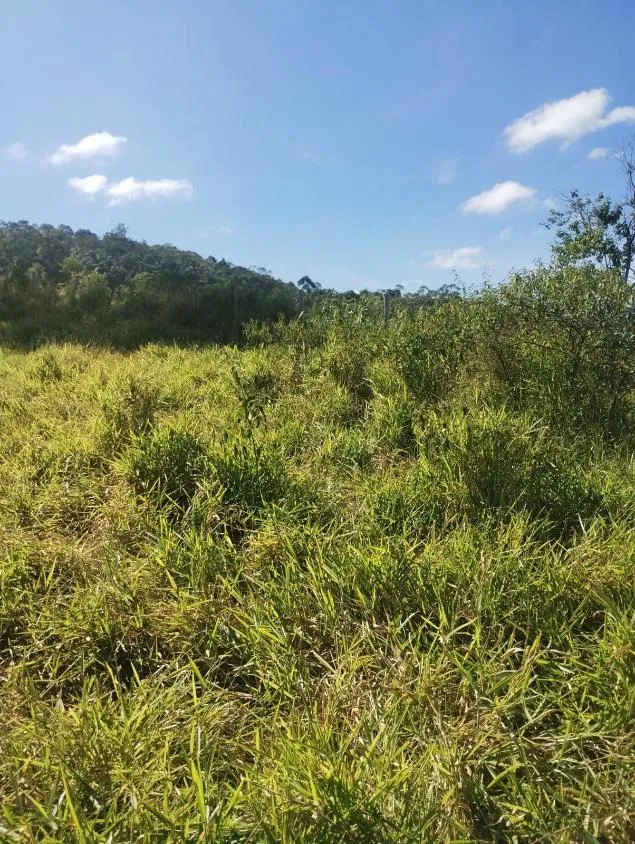 Imagem Excelente Terreno à Venda em Piranga/MG: 36 Hectares com Rica Infraestrutura