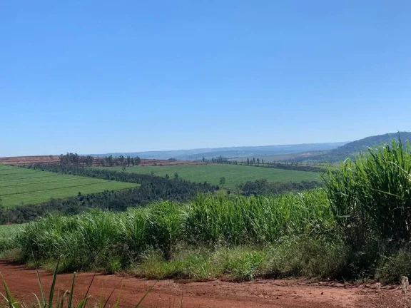 Imagem Fazenda 72 alqueires Patrocínio Paulista!!!