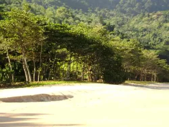 Imagem Área de 296.000 m2 - Sendo 190 mts de Frente para Praia do Simão.