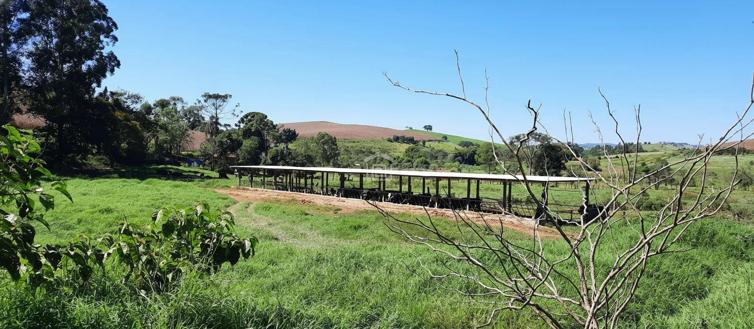 Imagem Sítio 24 m² à venda em Barreiro II, Caldas