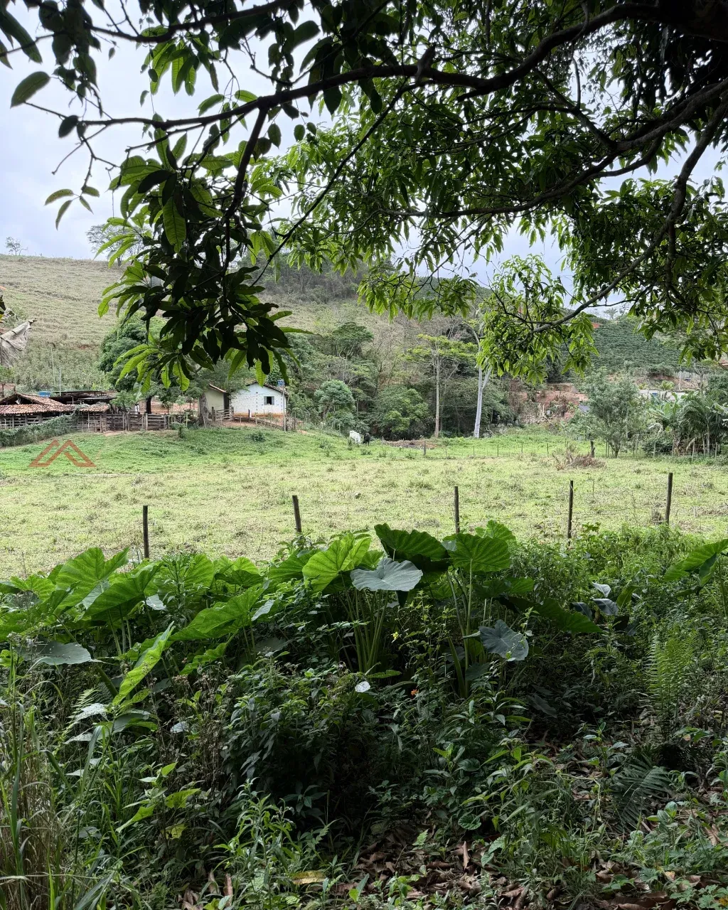 Imagem Imóvel