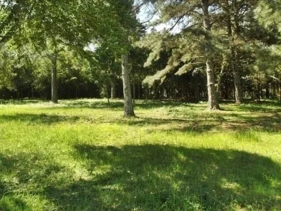Imagem Excelente área de 11.7 Ha, linda vista, açudes, zona nobre de Águas Claras