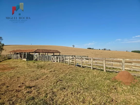 Imagem Fazenda a venda Capão Bonito SP