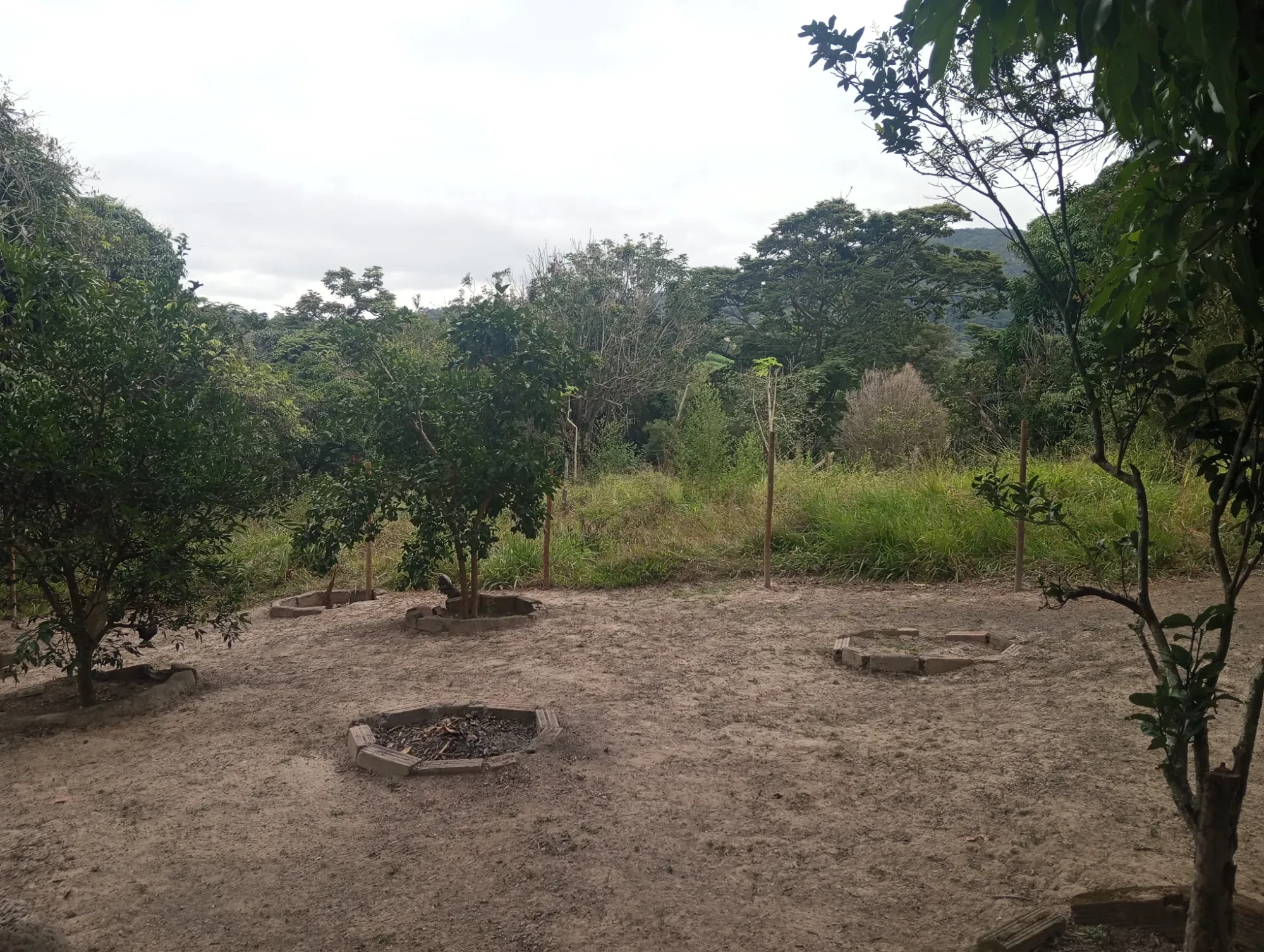 Imagem Sítio à Venda, 20000 metros em Nova União - Nova União