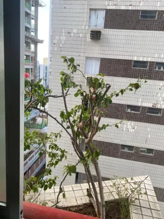 Imagem Apartamento para Venda em Recife, Boa Viagem, 3 dormitórios, 1 suíte, 3 banheiros, 1 vaga