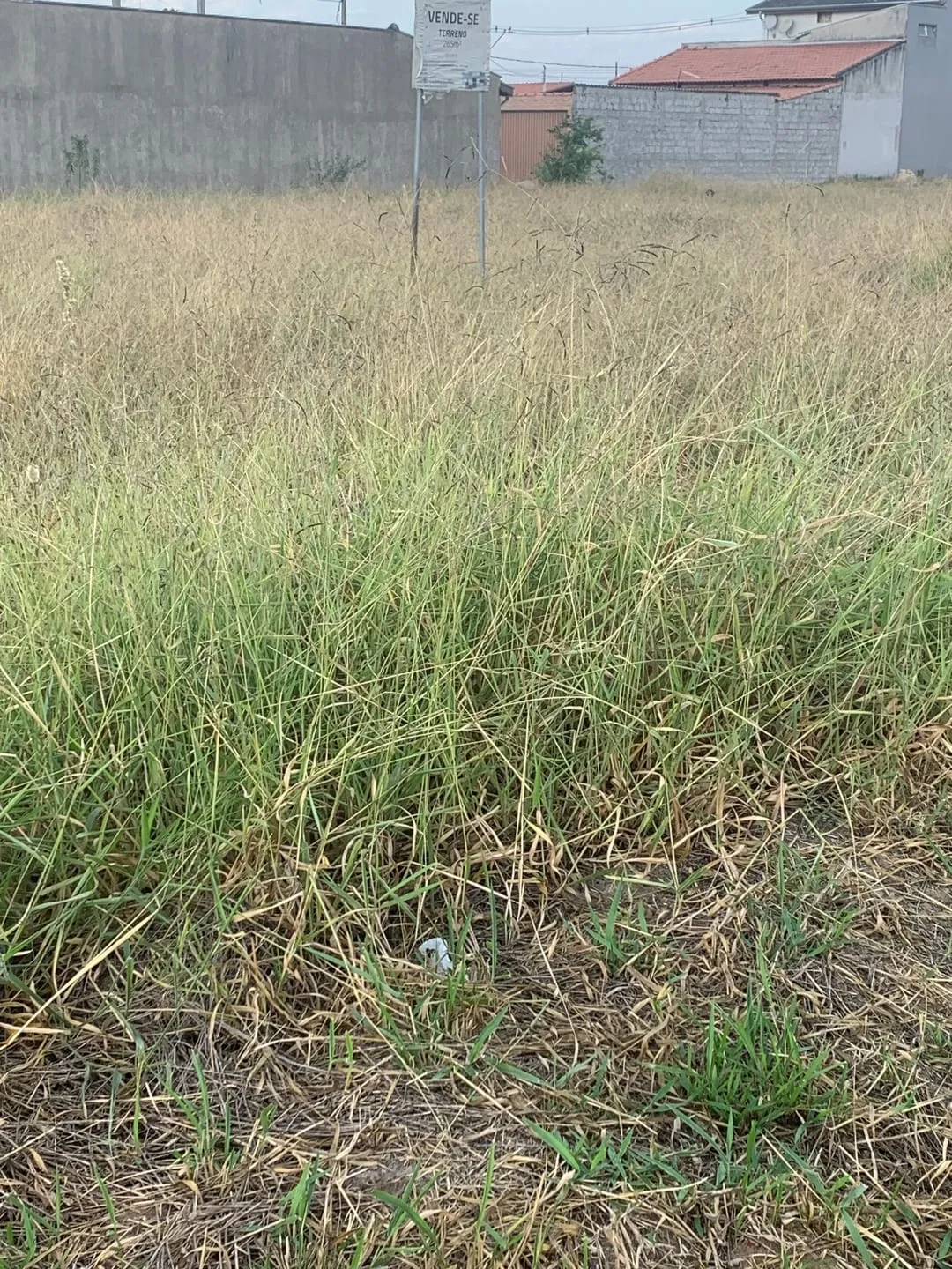 Imagem Terreno à venda 250M², Moreira César, Pindamonhangaba - SP