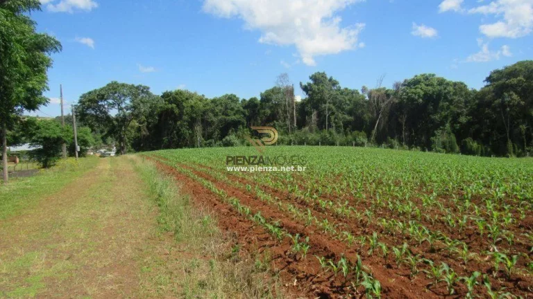 Imagem Área para Loteamento para Venda em Concórdia, São Cristóvão