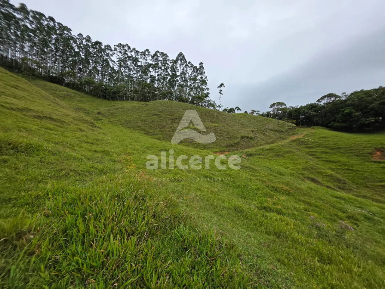 Imagem Sítio à venda em Antônio Carlos, SC, na Zona Rural - Morro da Gloria.