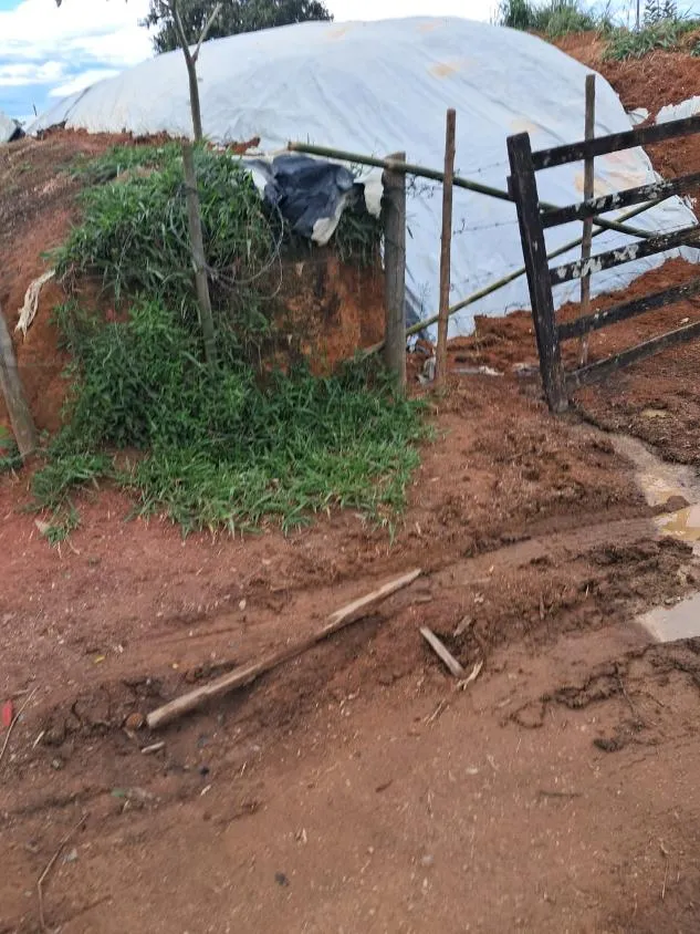 Imagem VENDE-SE FAZENDA EM PASSA TEMPO / MG área total de 100 hectares