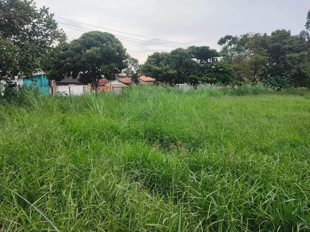 Imagem Terreno à venda 300M², Alto do Cardoso, Pindamonhangaba - SP