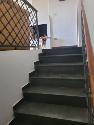 Imagem Casa com 4 dormitórios para alugar, 398 m² por R$ 17.374,00/mês - Parque do Colégio - Suzano/SP