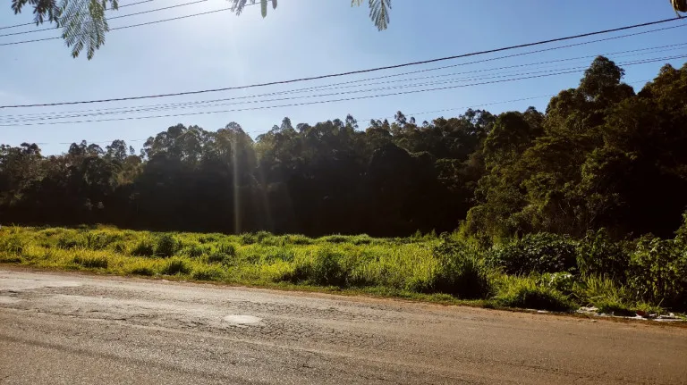 Imagem Terreno à Venda, 30.000 m² em Chácara Lagoa Branca - Campo Limpo Paulista