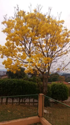 Imagem Chácara na Região de Bragança Paulista