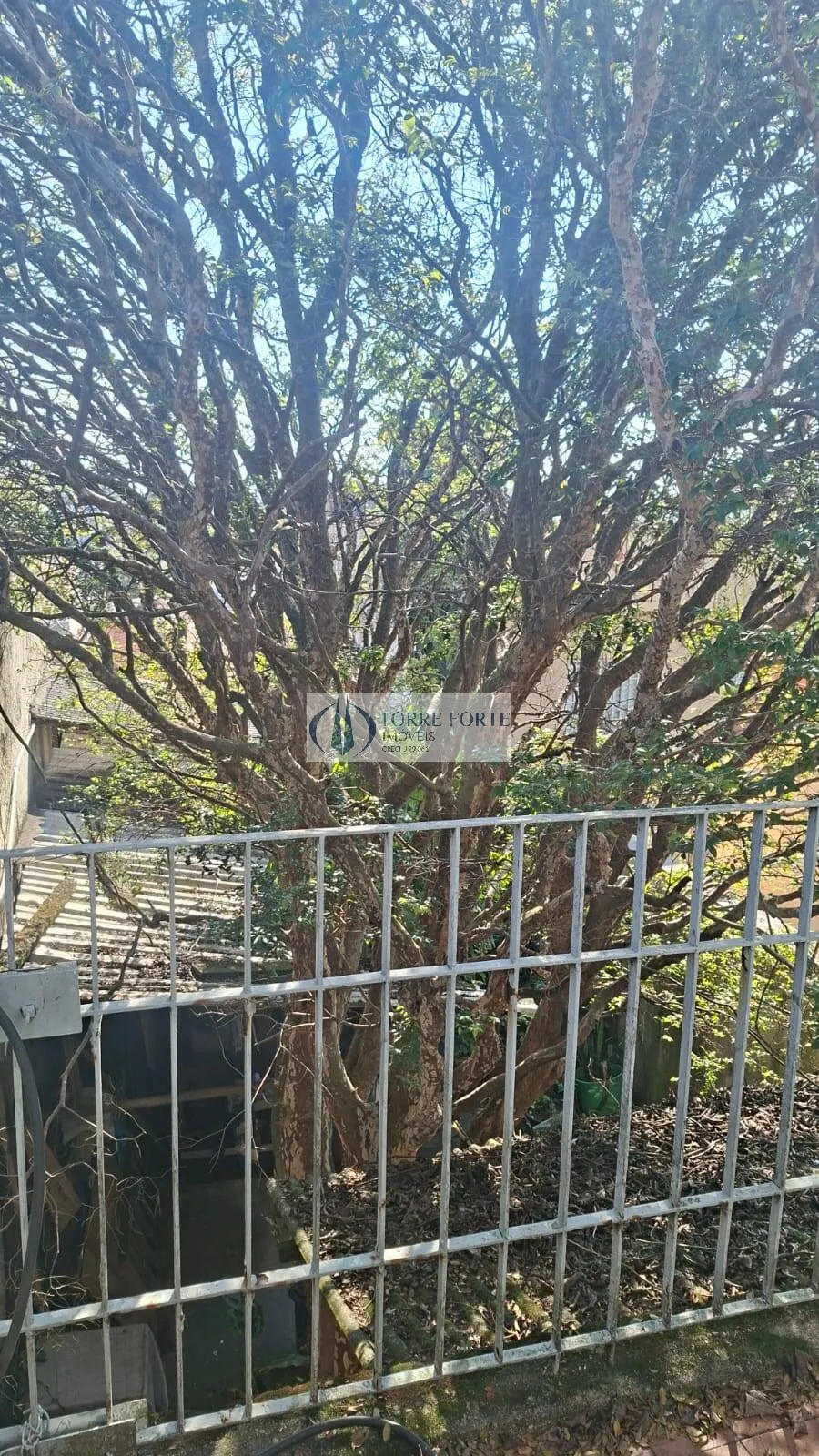 Imagem Terreno com 2 casas na Chacara Mafalda