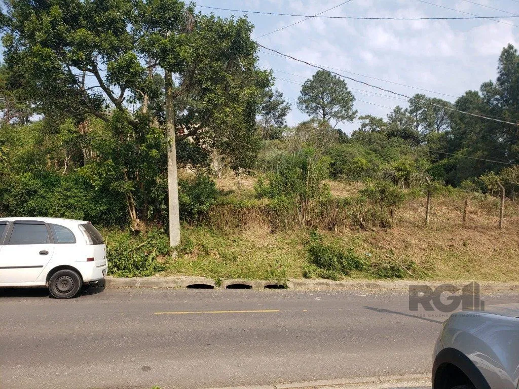 Imagem Terreno em Vila Nova