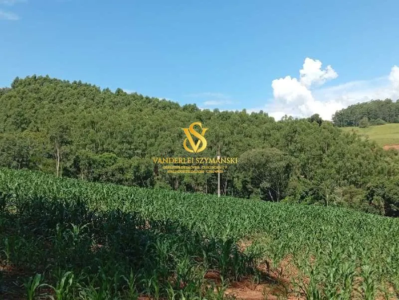 Imagem Chácara, Rural para Venda, Centro, União do Oeste