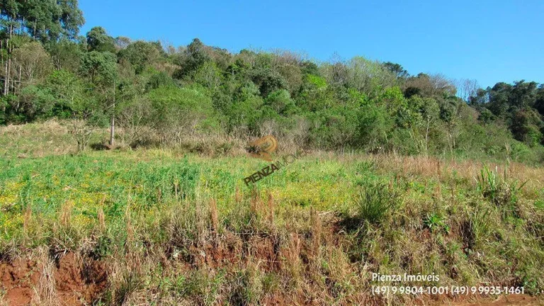Imagem Terreno para Venda em Concórdia, Vila Jacob Biezus