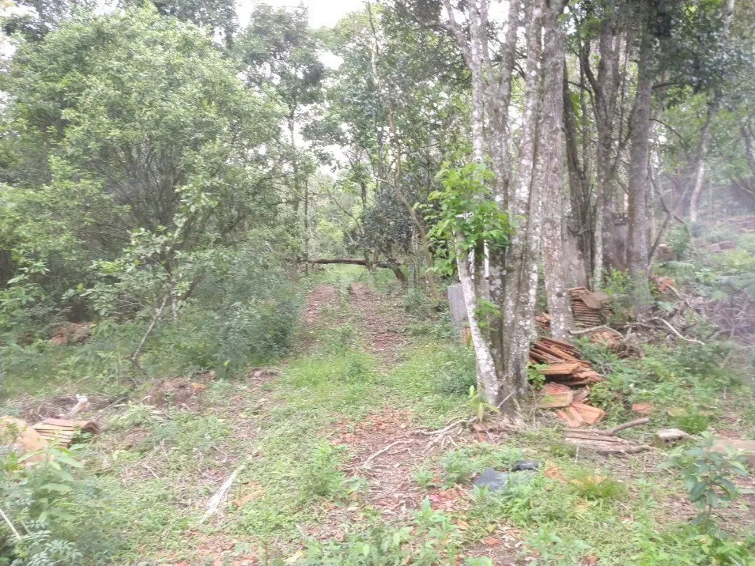 Imagem Área para Venda - 11,39ha, bairro Belém Velho