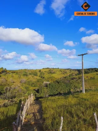 Imagem FAZENDA EM MATA DE SÃO JOÃO