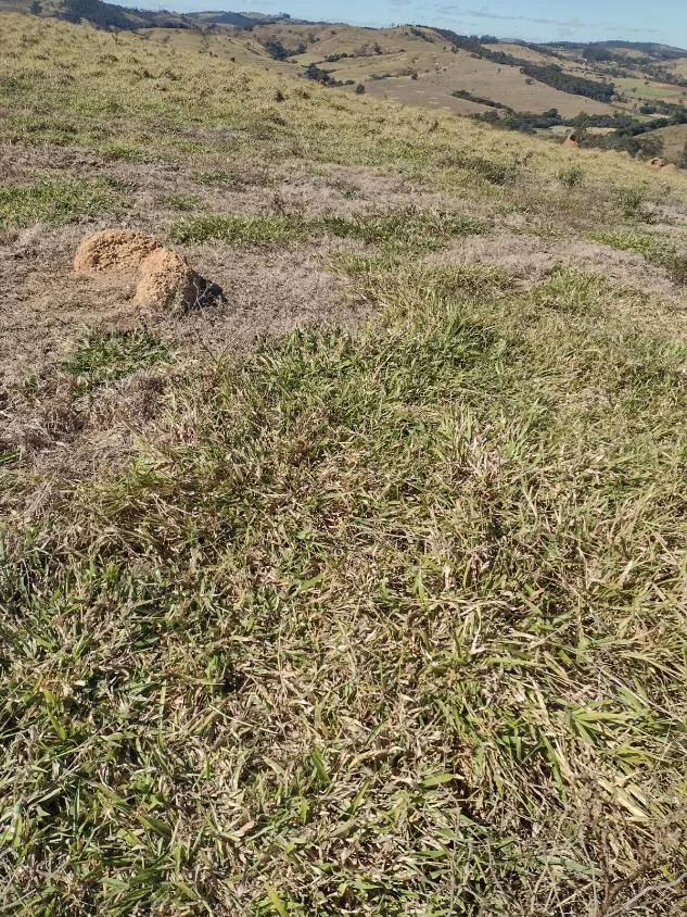 Imagem Vendo terreno em Crucilândia com 48 hectares de terra