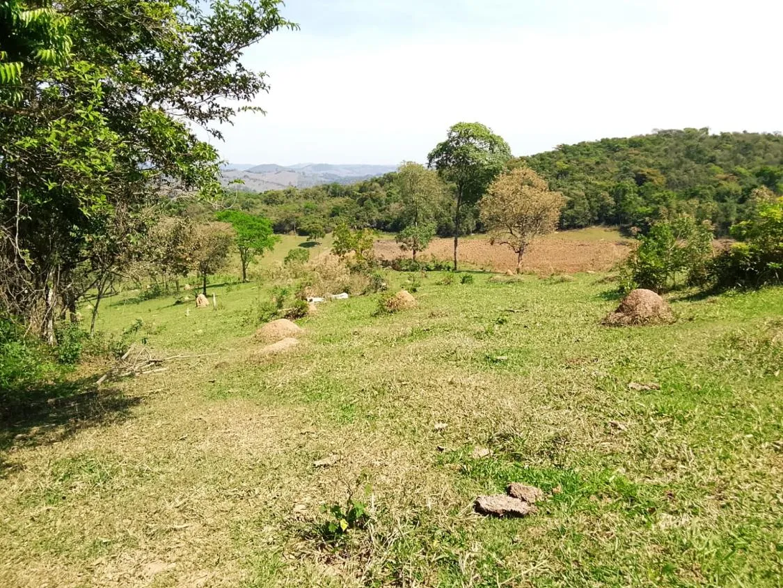 Imagem TERRENO COMPLETO COM 8 ALQUEIRES ? PRÓXIMO A RIO MANSO