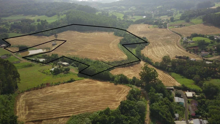 Imagem Área Agrícola para Venda em Concórdia, Tamanduá