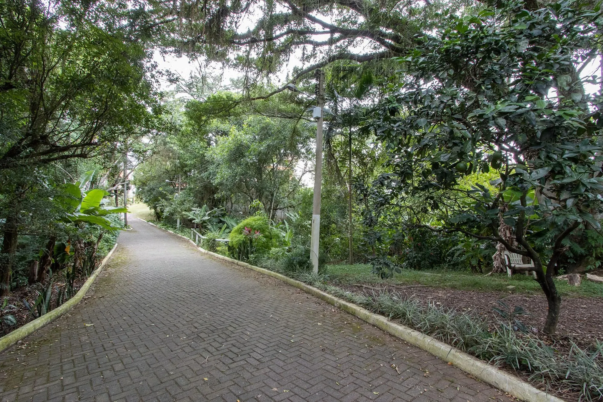 Imagem Ótimo terreno 359 m2 pronto para construir