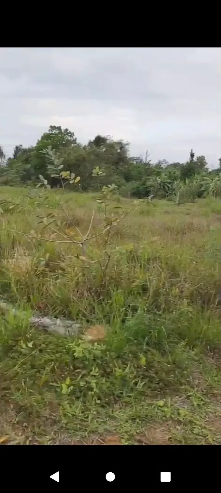 Imagem Terreno à Venda, 120 m² em Cidade Jardim Parque Estoril - Nova Iguaçu