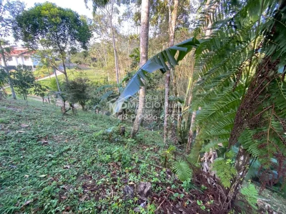 Imagem Sítio a venda em Nova Trento - Terra de Santa Paulina. Com área de 7.000m², muitas árvores ao redor. Plantas frutíferas,