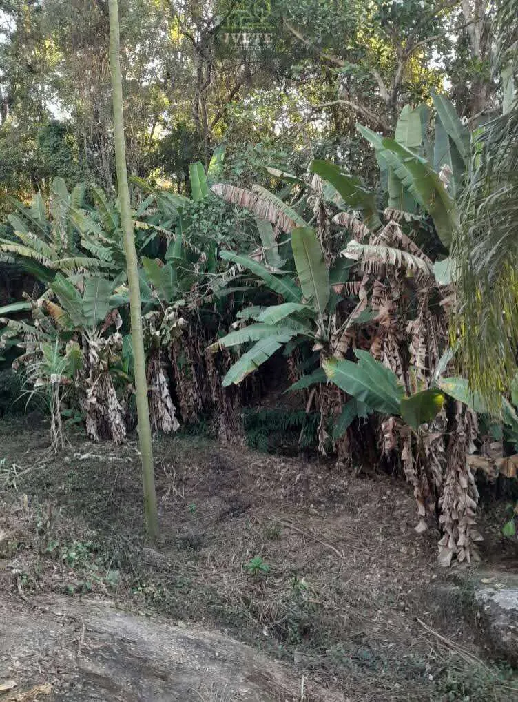 Imagem Chácara a venda no Bairro Moquem em Socorro-SP, com escritura de parte ideal.