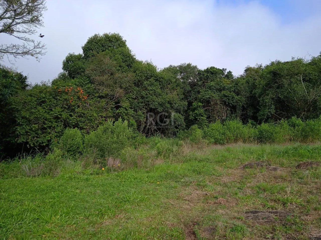 Imagem Terreno para Venda - 4950m², 0 dormitórios, Vila Nova, Porto Alegre
